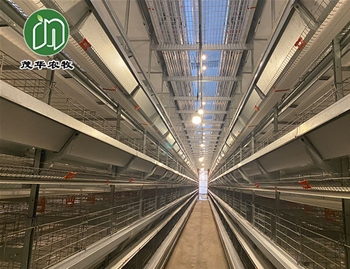 蛋鸡养殖笼