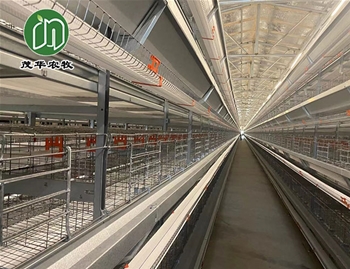 层叠式肉鸡笼养系统