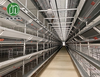 层叠式肉鸭笼养系统