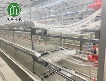 自动饮水系统