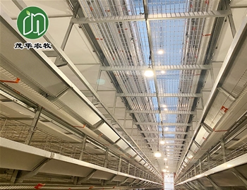 肉鸭笼养系统