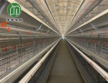 肉鸭养殖笼